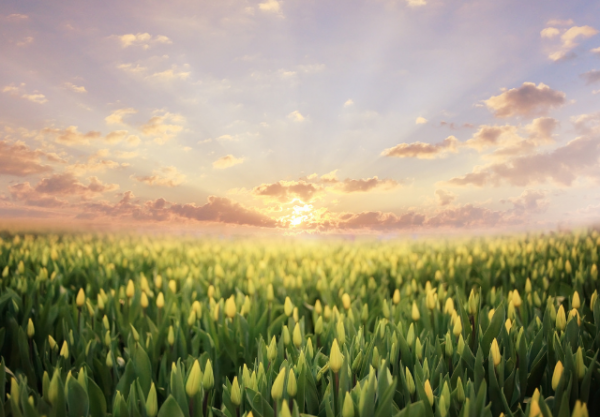 Thriving not just surviving