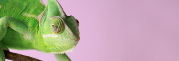 Do you have the power to make changes?