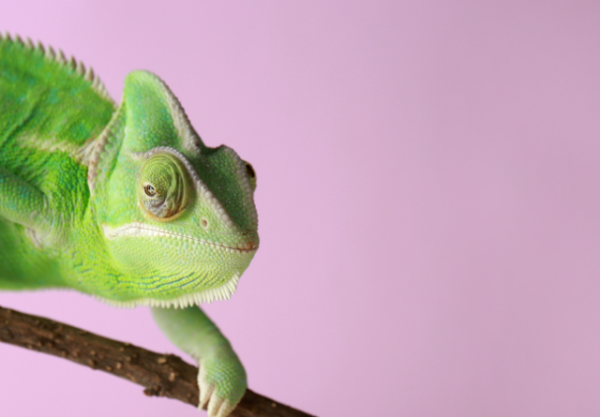 Do you have the power to make changes?