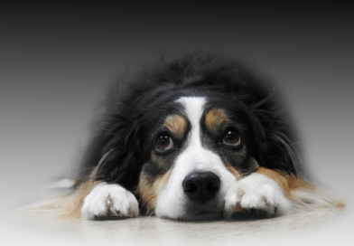 When 'Sorry' really is the hardest word