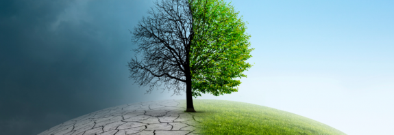 Resolve to be a ‘better’ business