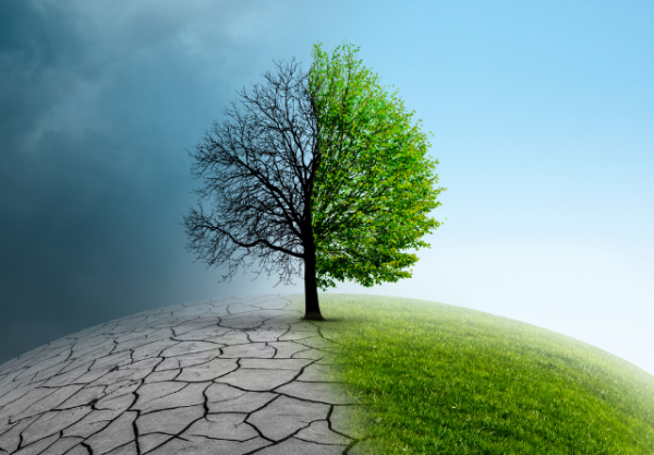 Resolve to be a ‘better’ business
